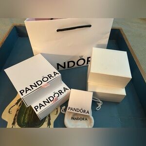 Pandora Charm, Bracelet box's & Gift Bag